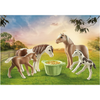Playmobil Icelandic Ponies with Foal