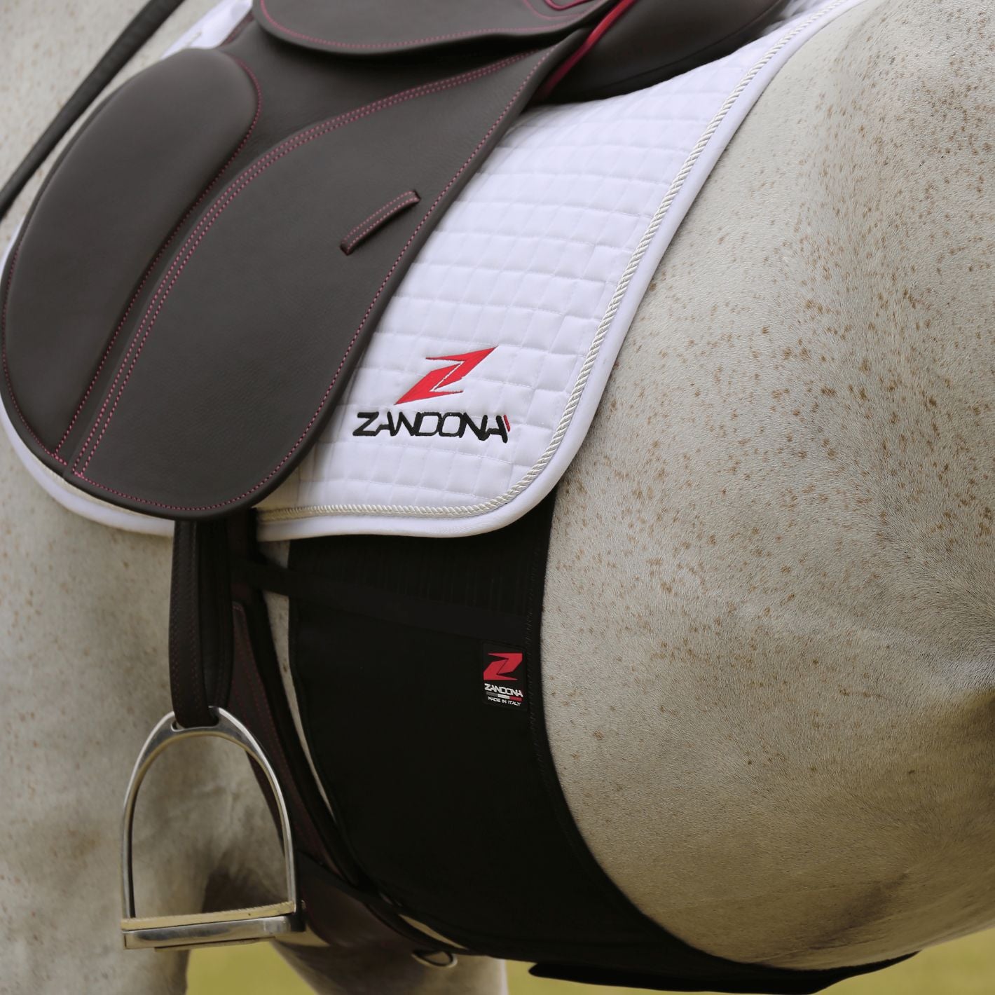 Zandona Belly Guard