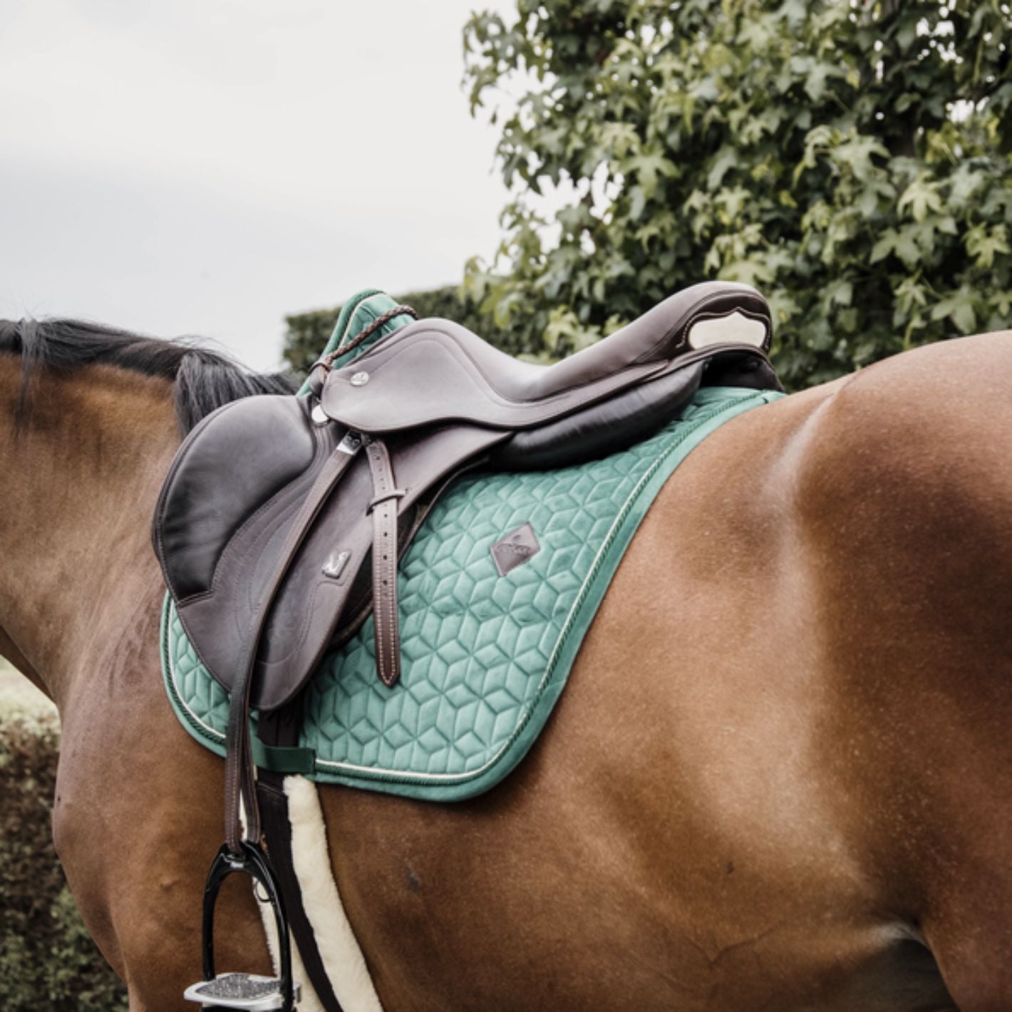 Kentucky Velvet Jump Pad - Dark Green