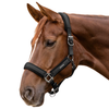 Waldhausen Headcollar - Black