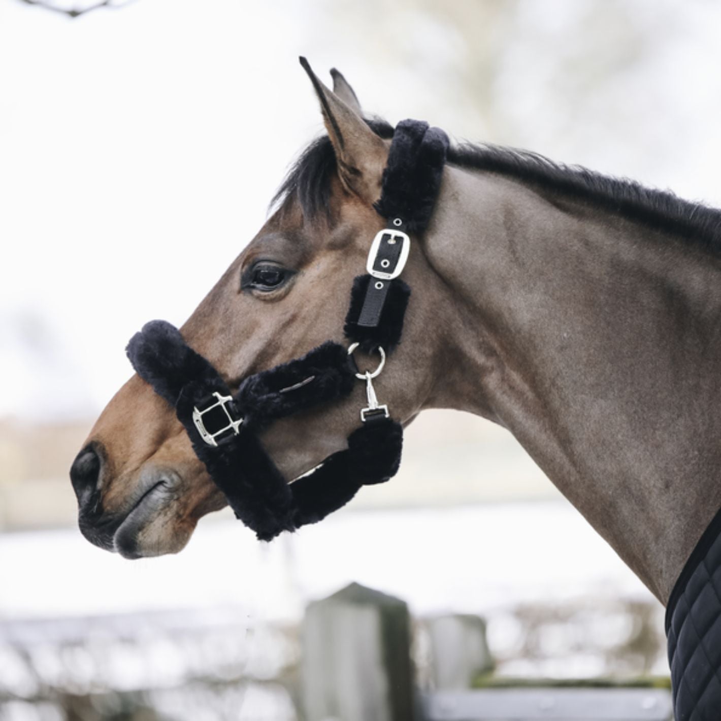 Kentucky Sheepskin Shipping Headcollar - Black