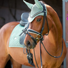 Equestrian Stockholm Dressage Pad - Modern Mint Green - COB