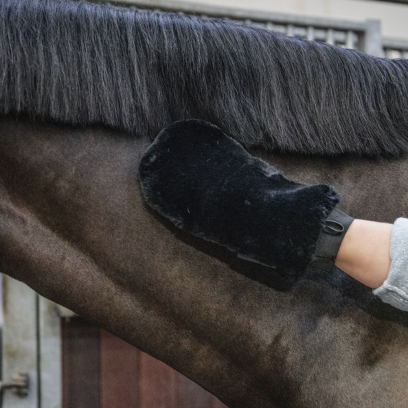 Kentucky Sheepskin Grooming Glove