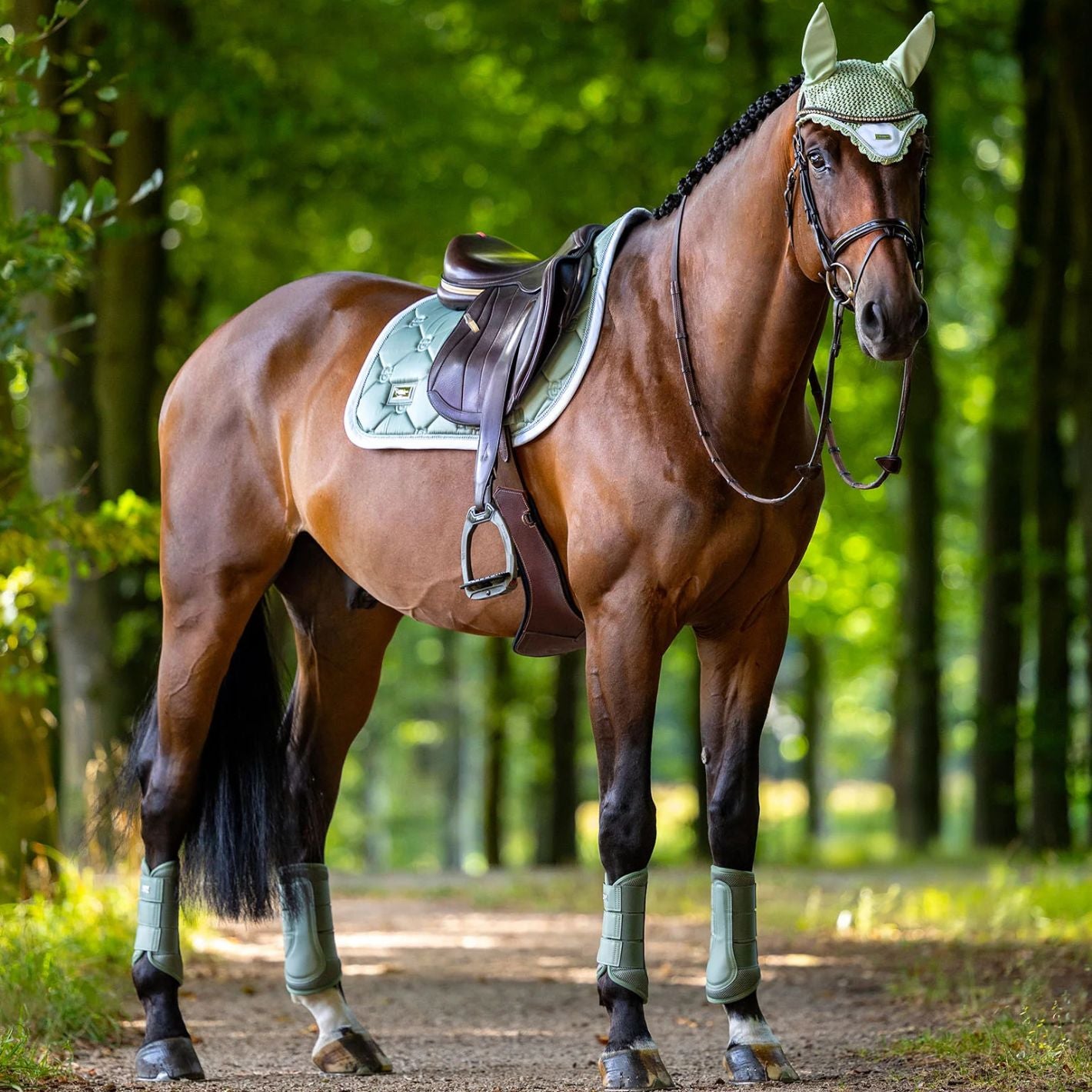 Equestrian Stockholm Ear Bonnet - Pistachio White