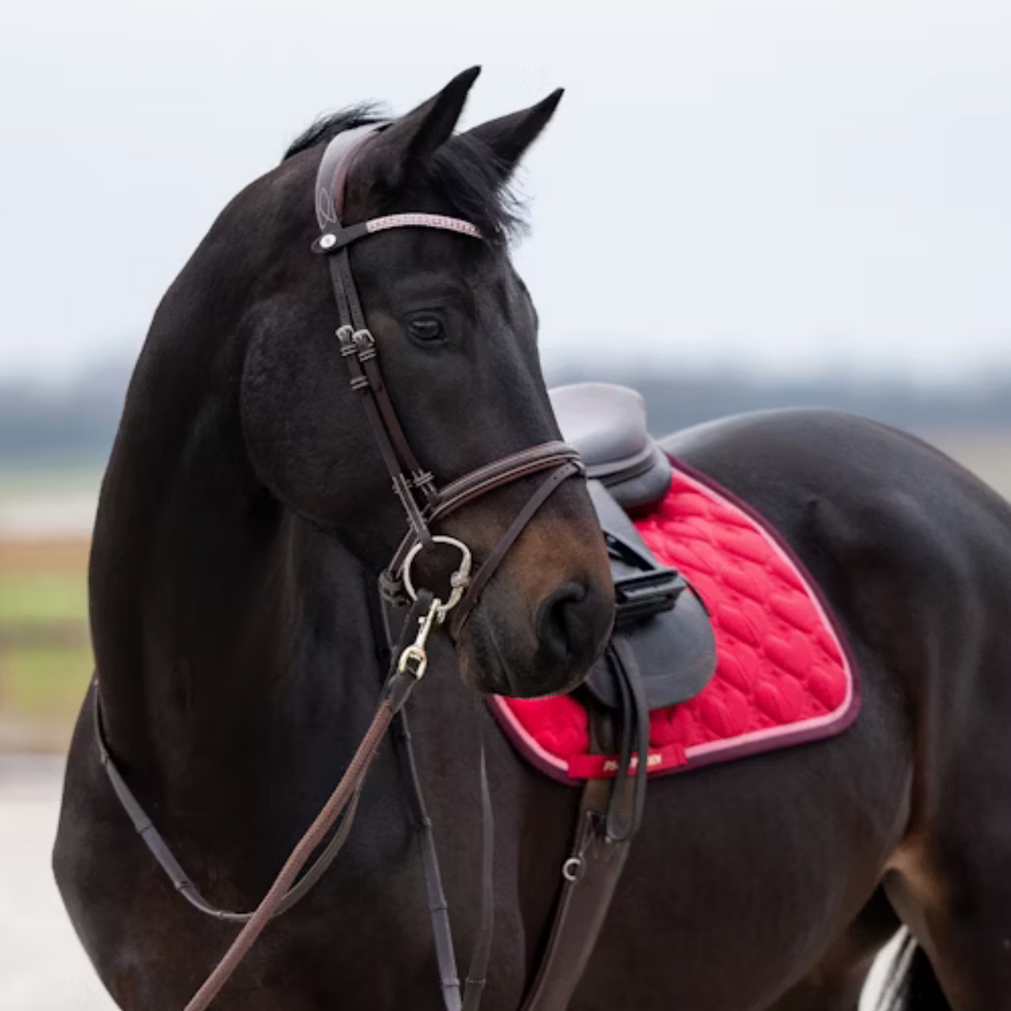 PS of Sweden Jump Pad - Heart