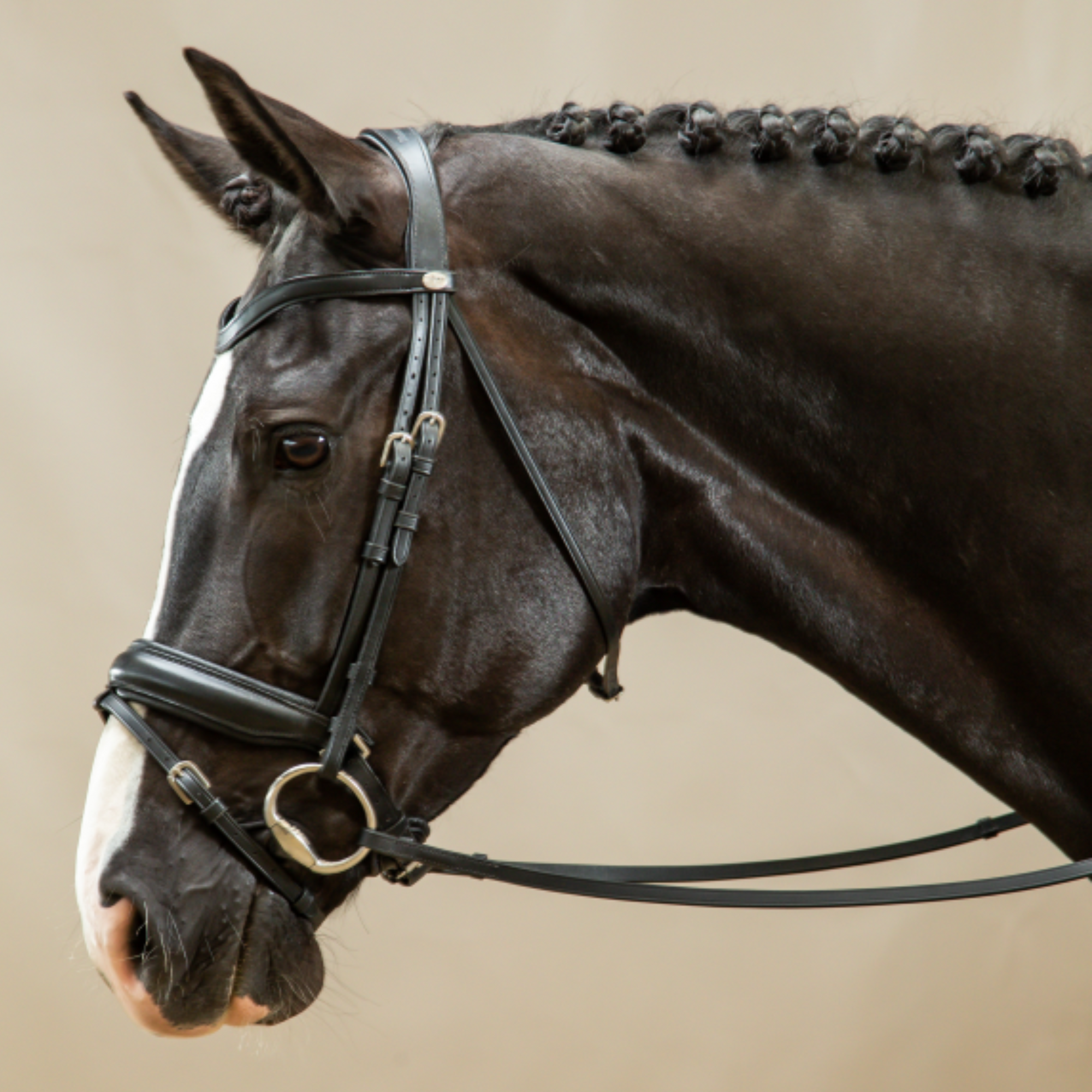 Dy'on Crank Noseband Bridle