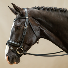 Load image into Gallery viewer, Dy&#39;on Crank Noseband Bridle
