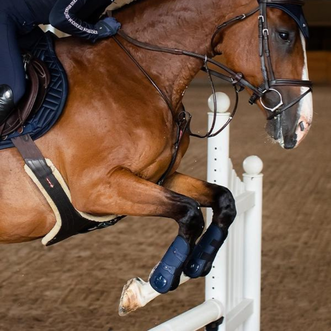 Equestrian Stockholm Tendon Boots - Navy