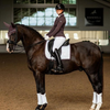 Equestrian Stockholm Dressage Pad - Modern White Moonless Night
