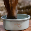 Waldhausen XL Treat Container - Turquoise
