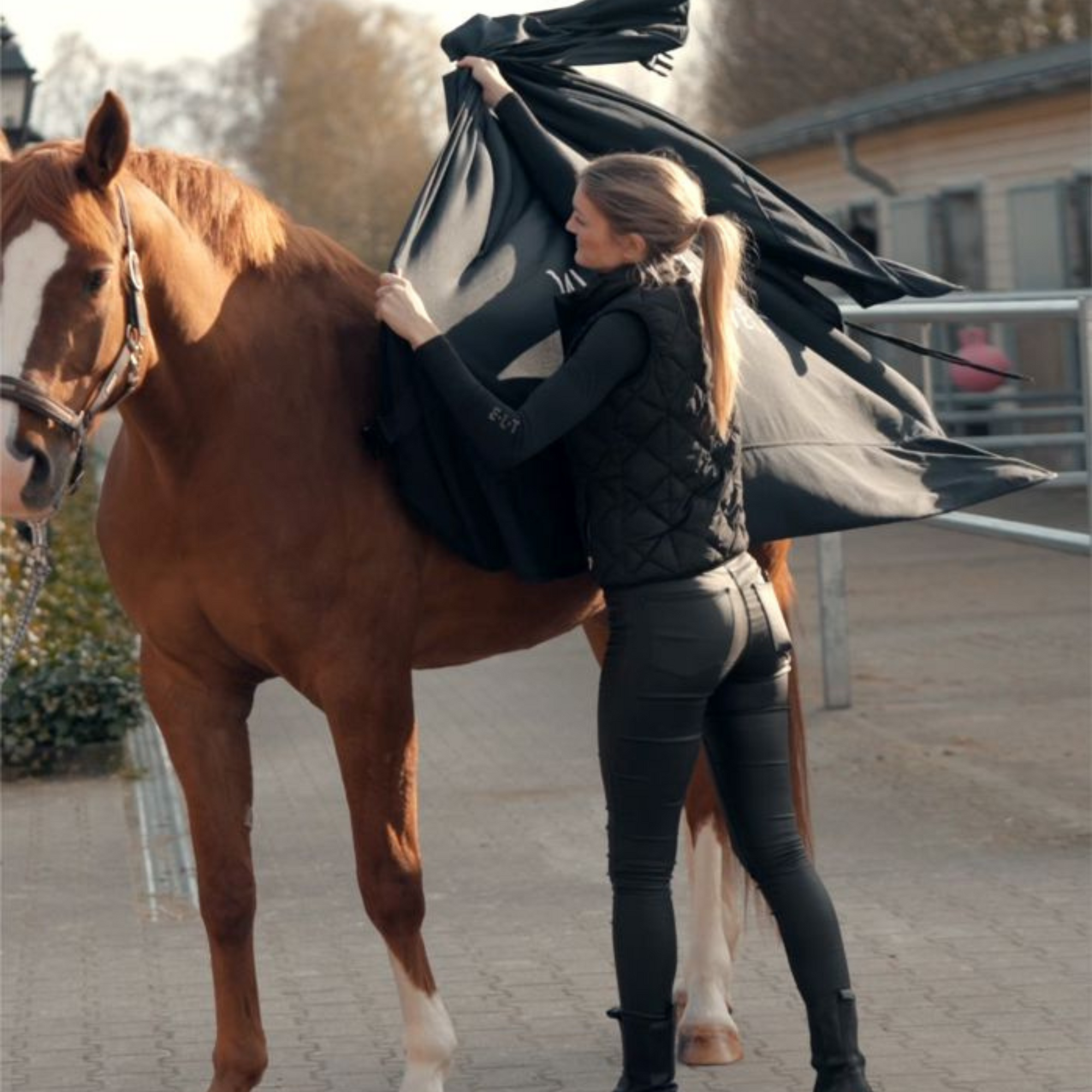 Waldhausen Ice Layer Cooling Blanket