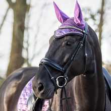 Load image into Gallery viewer, QHP Fayen Browband - Silver
