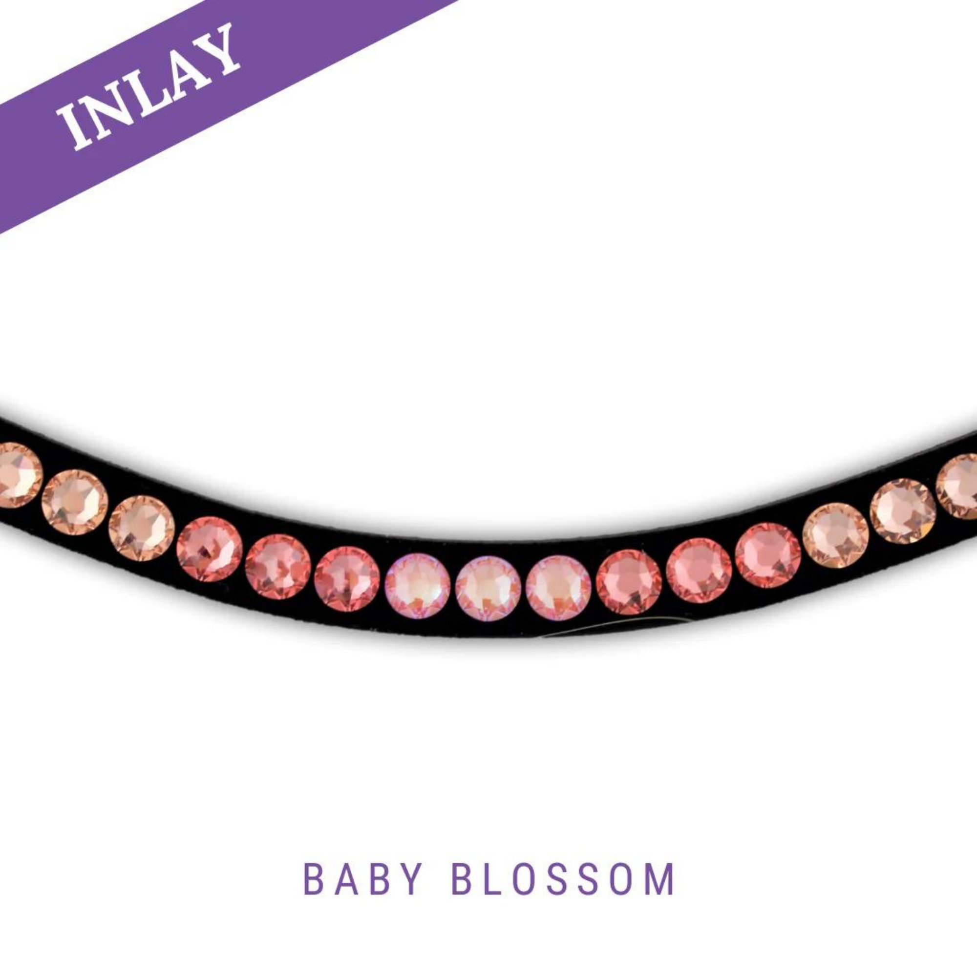 MagicTack Curved Browband - Baby Blossom