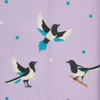 LeMieux Footsie Socks - Lucky Magpie