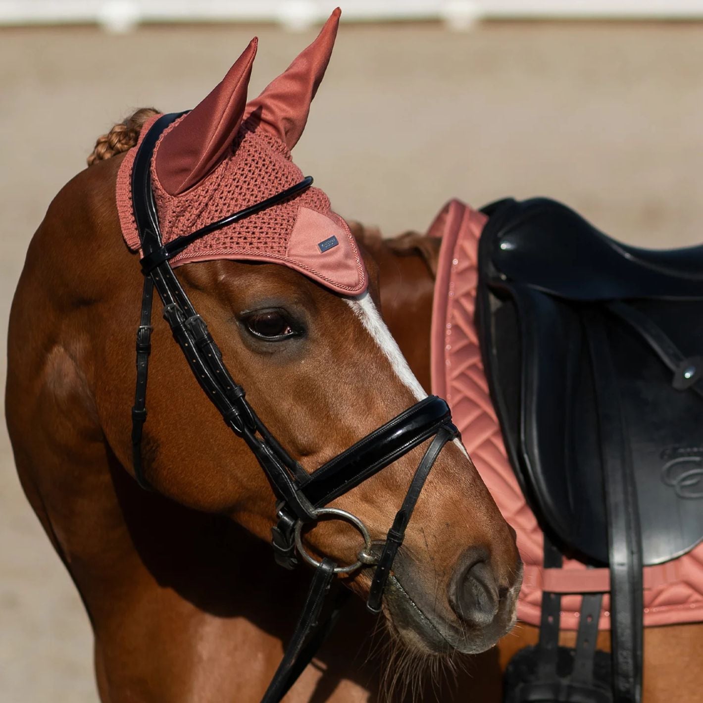 Equestrian Stockholm Ear Bonnet - Coral