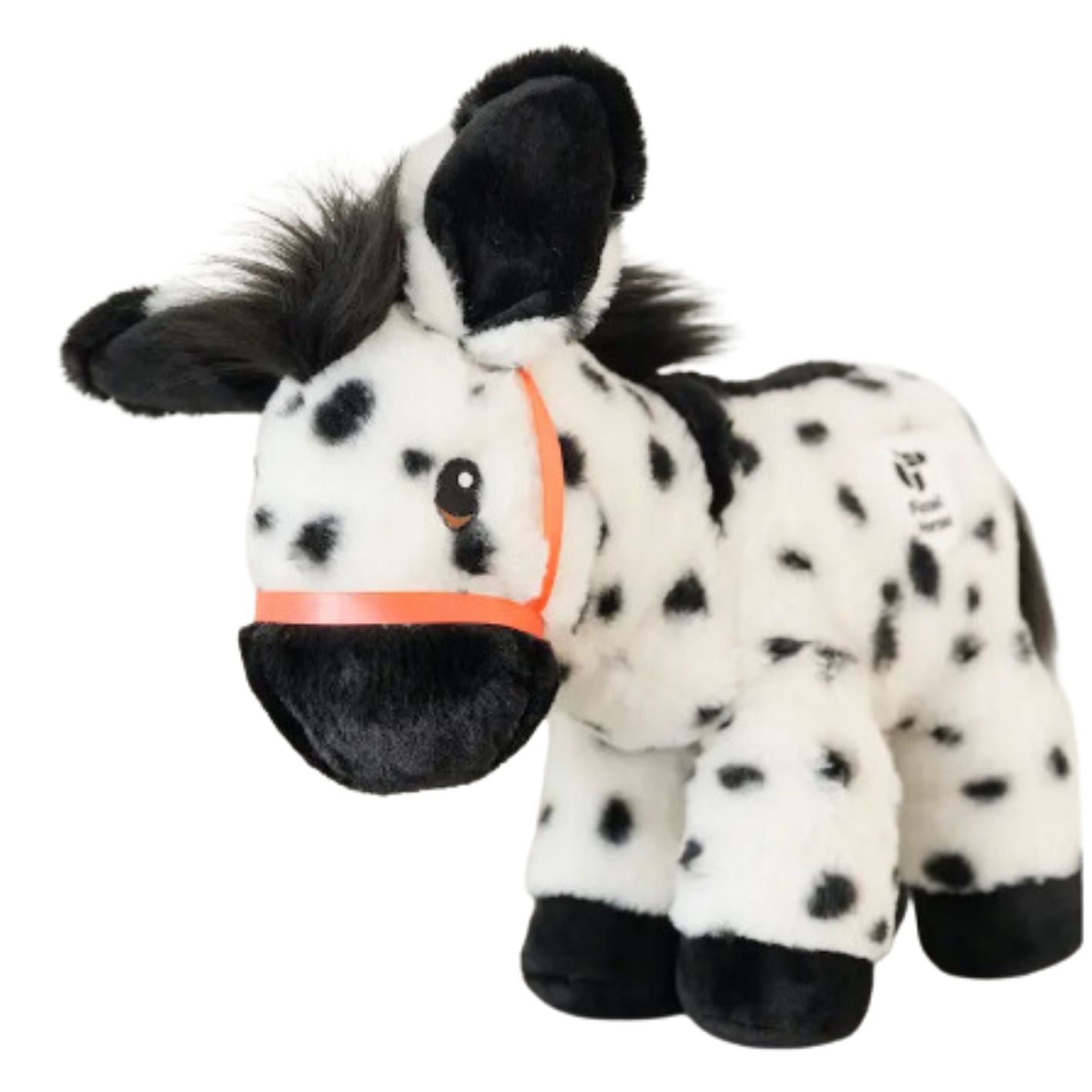 Piccoli Donkey - Chrissy