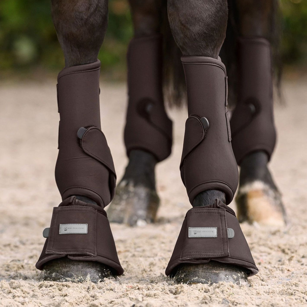 Waldhausen Performance Bell Boots - Espresso