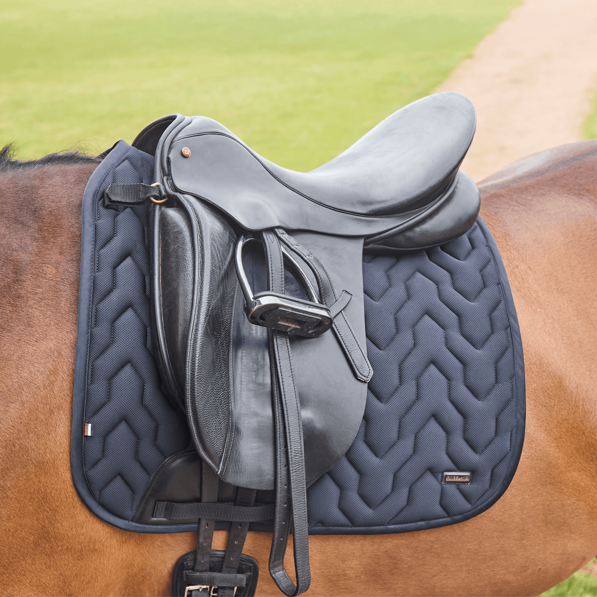 Kingsland Nelly Dressage Pad - White
