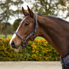 QHP Headcollar & Leadrope Set - Bouncing Bows