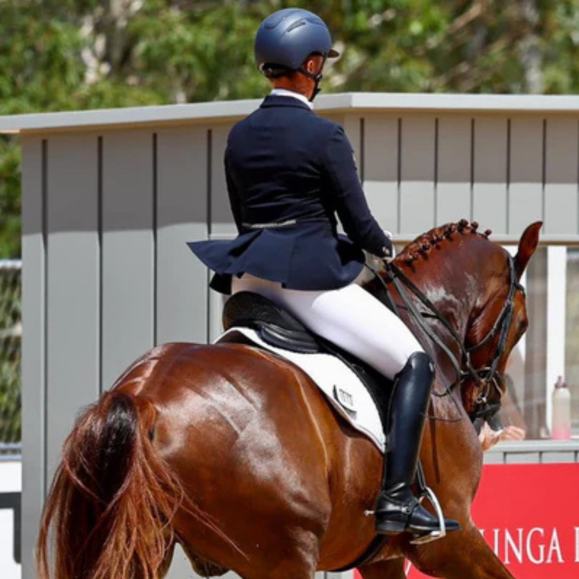 Bare Equestrian White Leggings