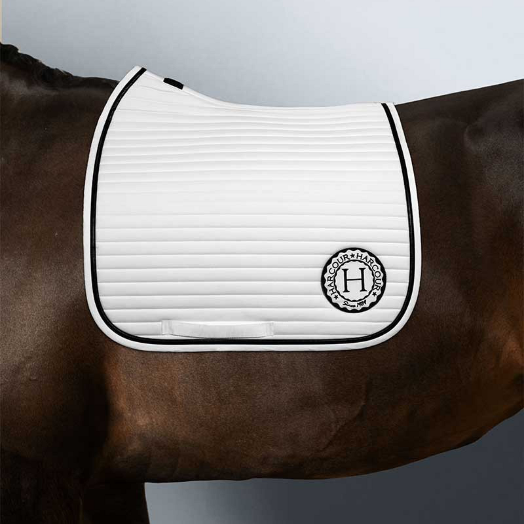 Harcour Karembar Dressage Pad - White