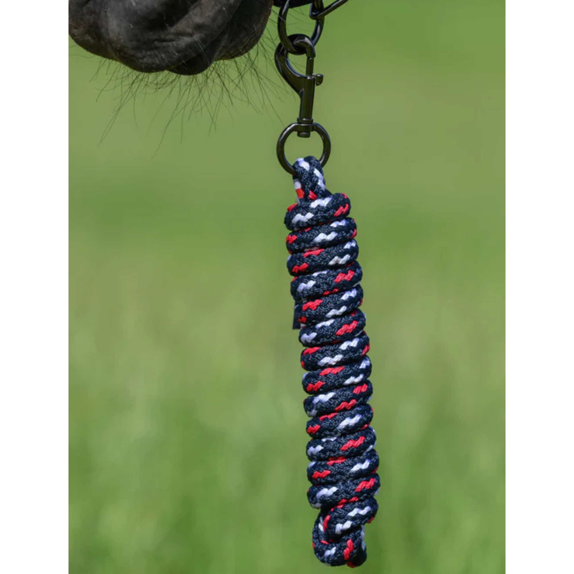 Tommy Hilfiger Yale Headcollar & Leadrope Set - Navy