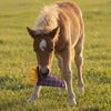 QHP Horse Toy - Fries