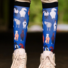 Load image into Gallery viewer, Dreamers &amp; Schemers Boot Socks - Pony Baloney
