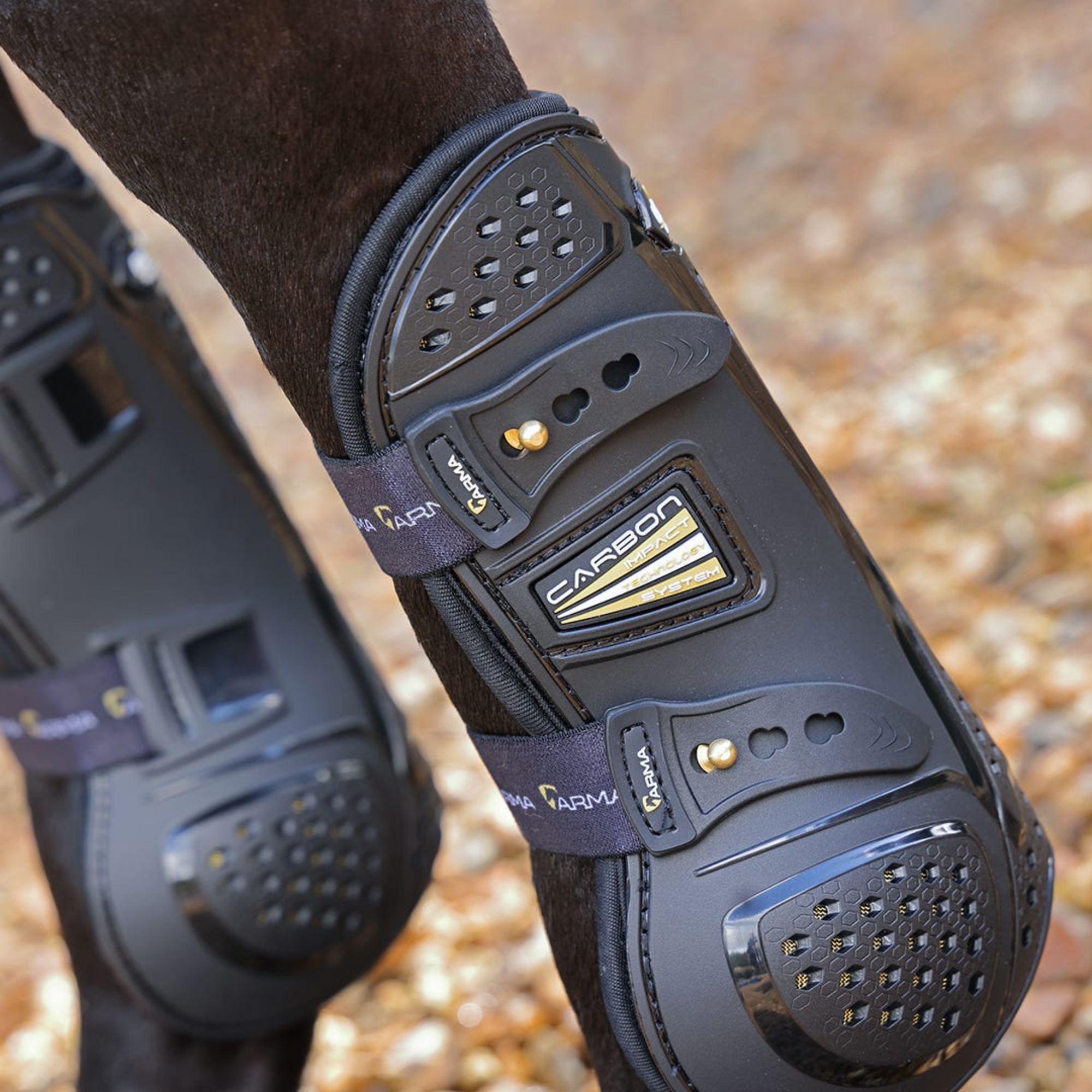 Shires ARMA OXI-ZONE Tendon Boots