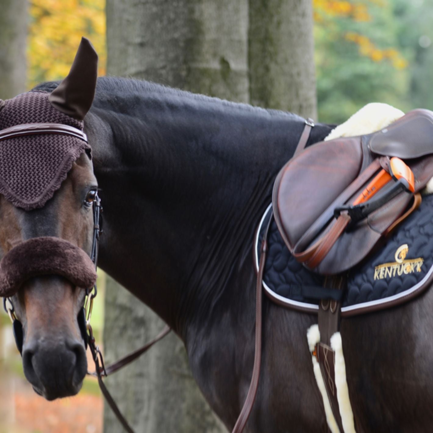 Kentucky Sheepskin Noseband/Headpiece Cover
