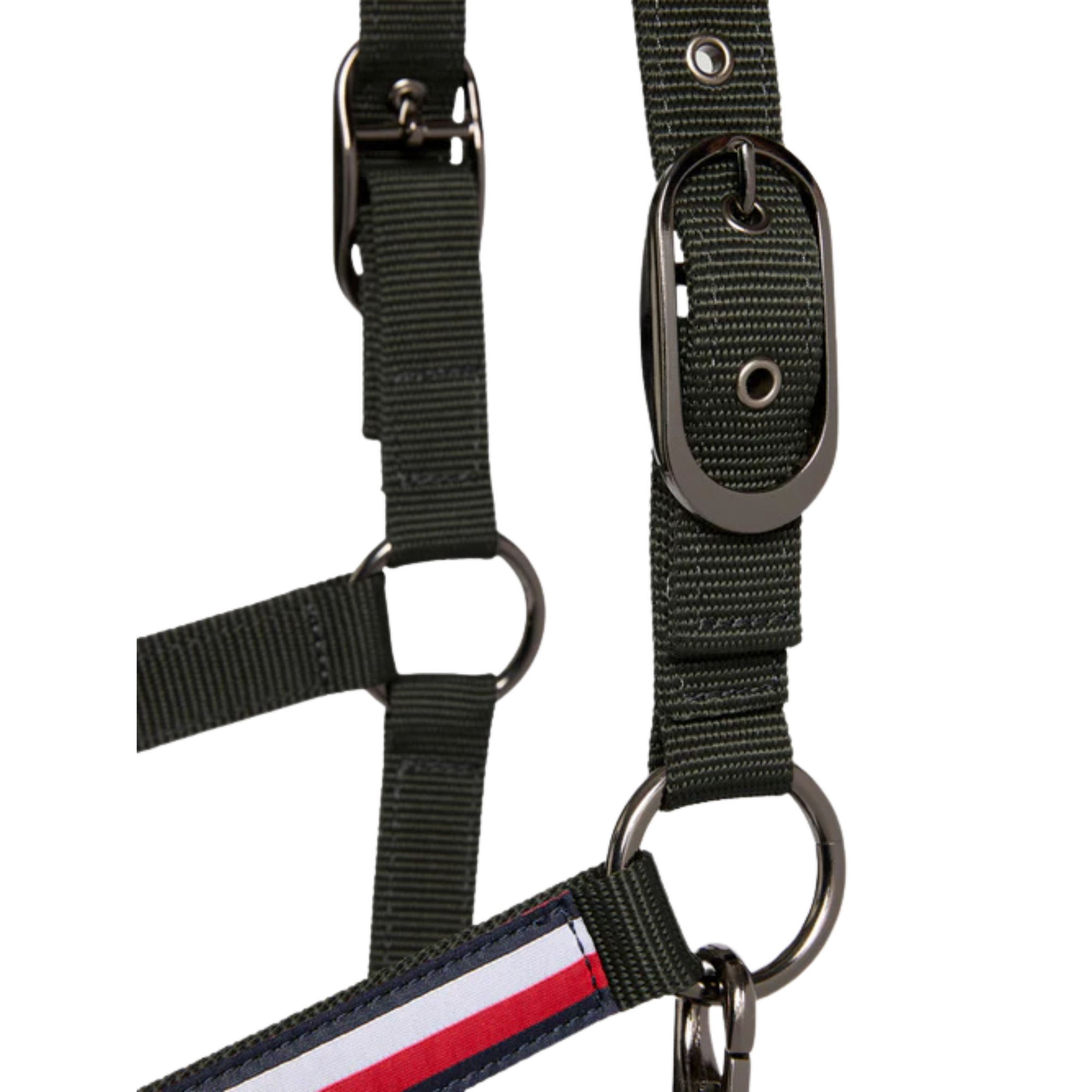 Tommy Hilfiger Yale Headcollar & Leadrope Set - Pine