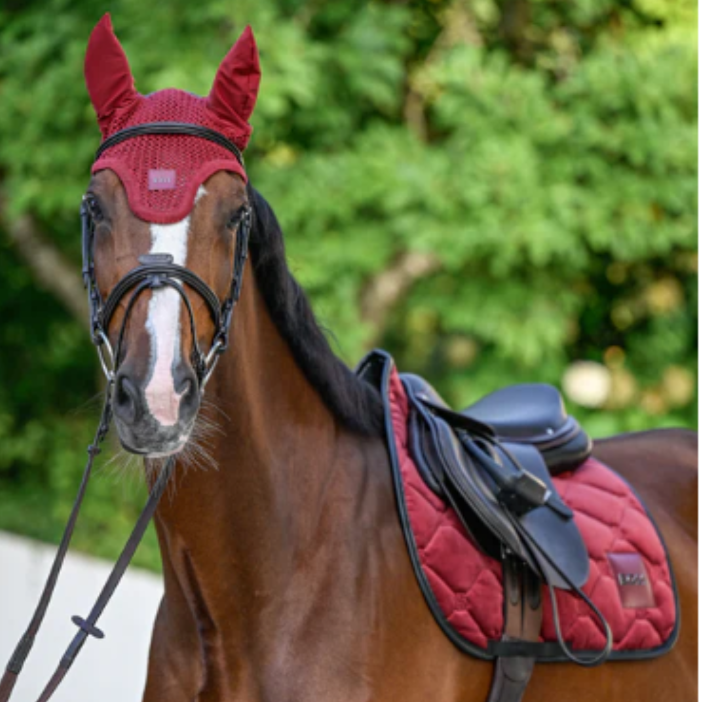 Boss Equestrian Ear Bonnet - Cabernet