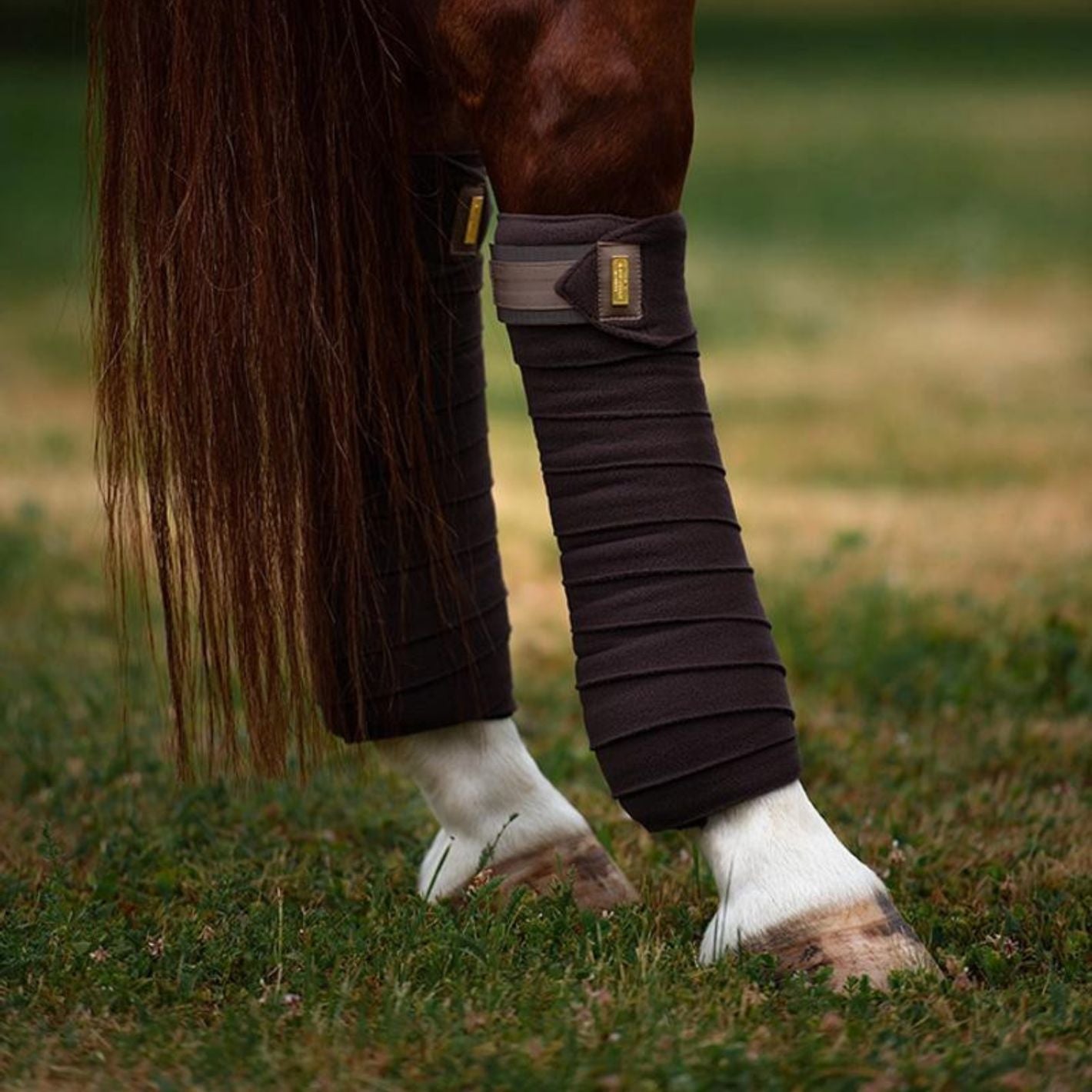 Equestrian Stockholm Bandages - Golden Brown