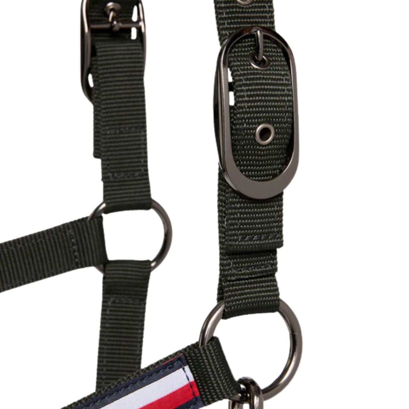 Tommy Hilfiger Yale Headcollar & Leadrope Set - Pine