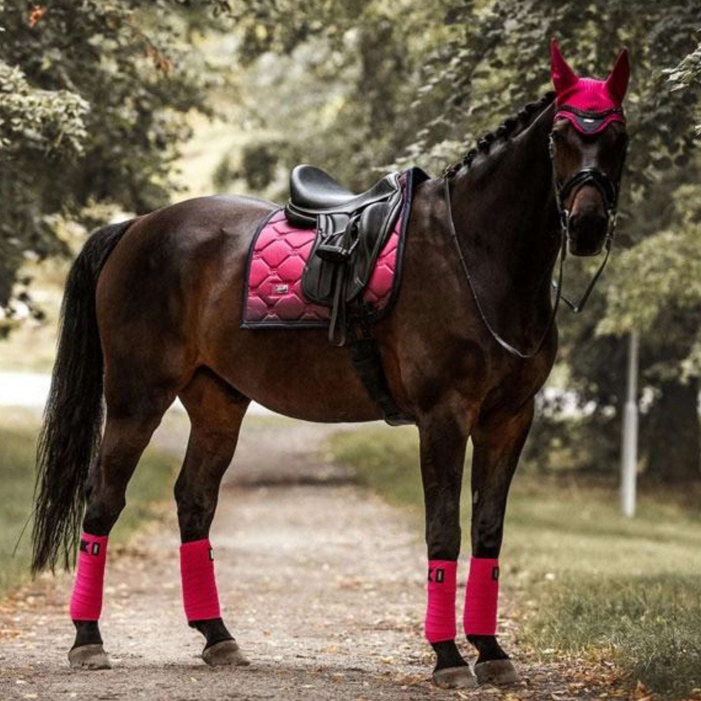 Equestrian Stockholm Dressage Pad - Faded Fuschia