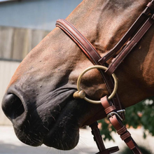 Load image into Gallery viewer, CWD Raised French Noseband Bridle - Brown
