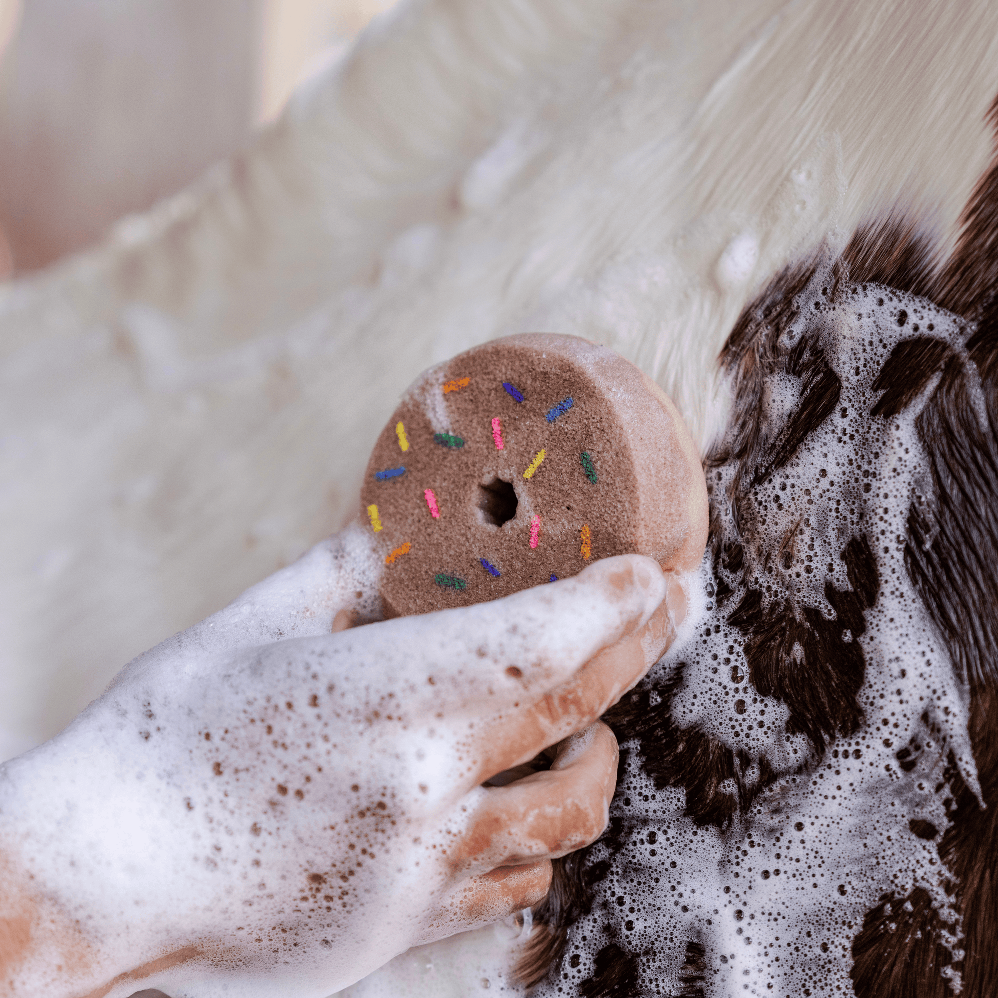 Dreamers & Schemers Donut Tack Sponges - 6 Pack