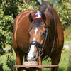 QHP Birthday Hat - Rainbow