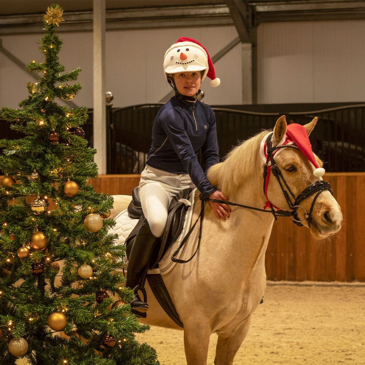 Santa Ear Bonnet