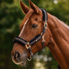 Waldhausen Phoenix Headcollar & Leadrope Set - Espresso