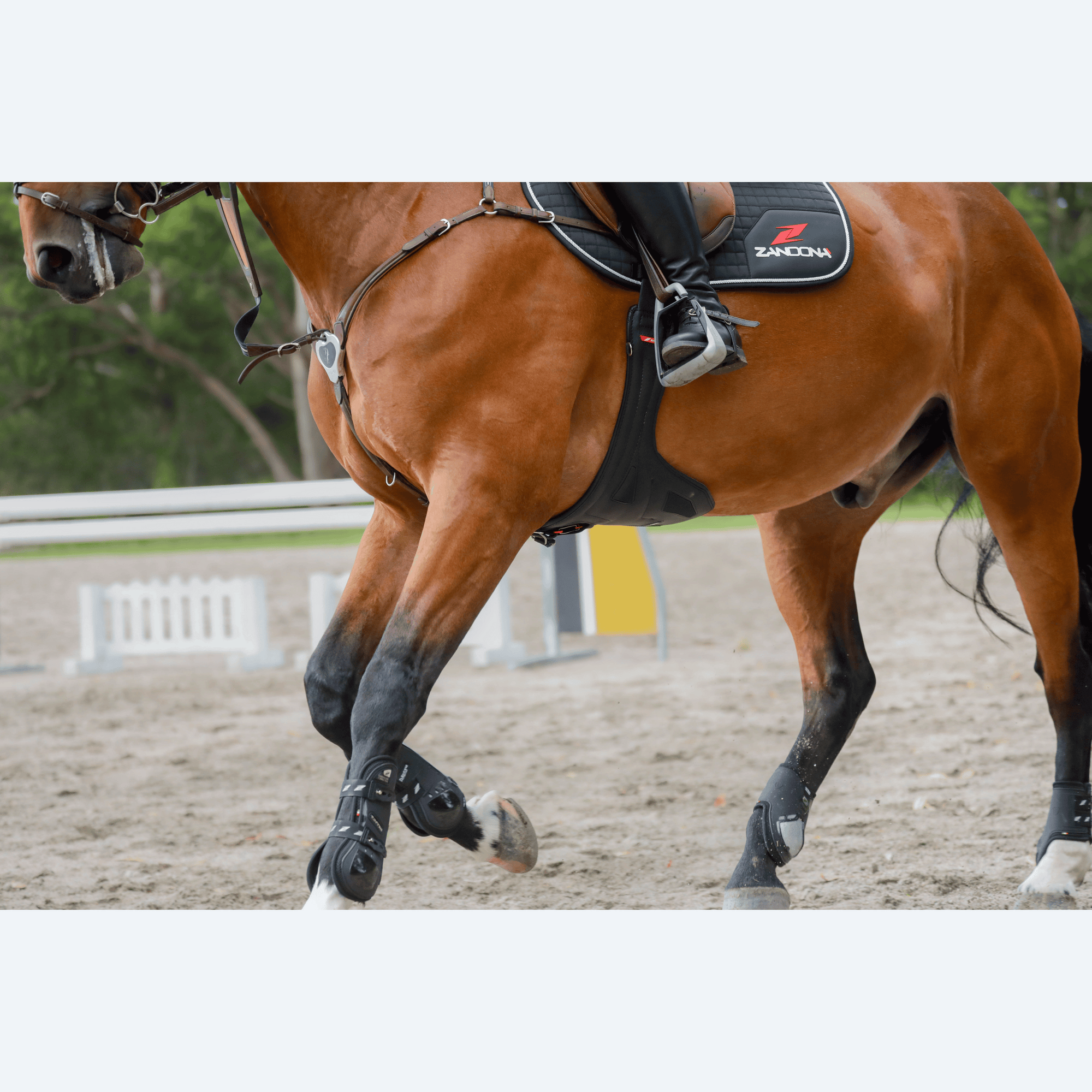 Zandona Carbon Chic Tendon Boots - Black/Silver