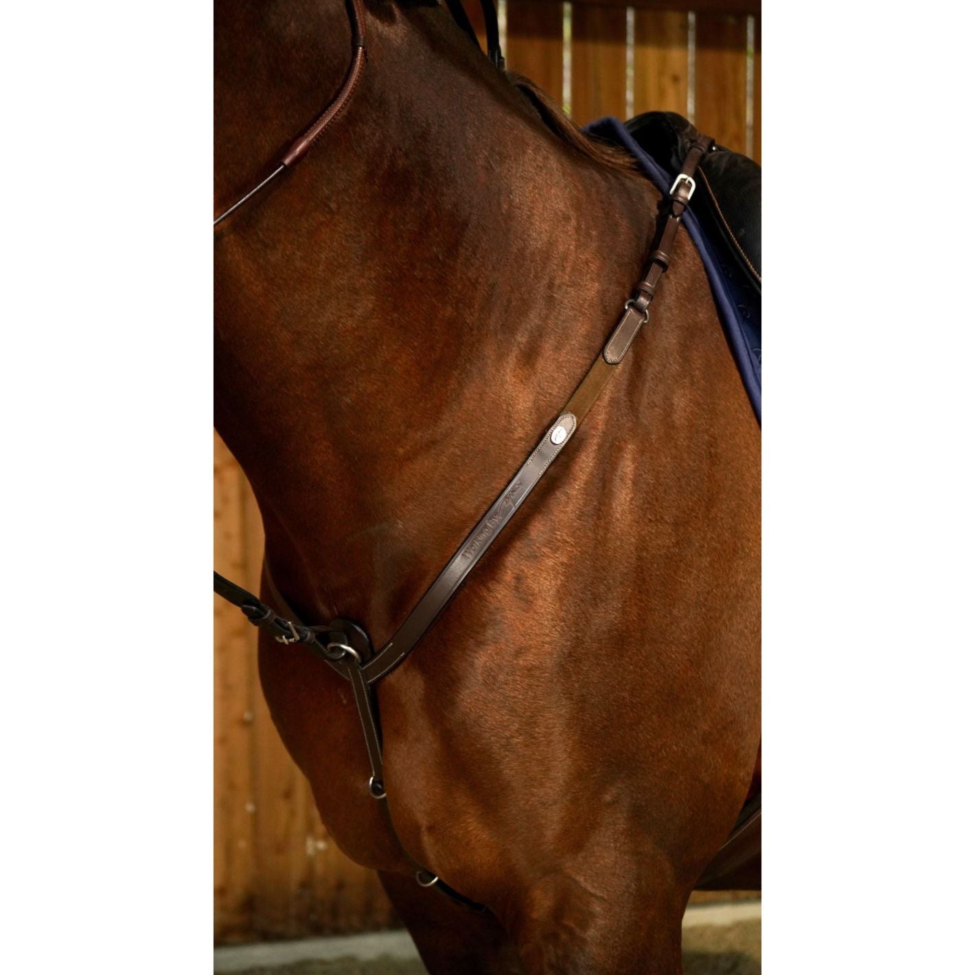 Dy'on Breastplate
