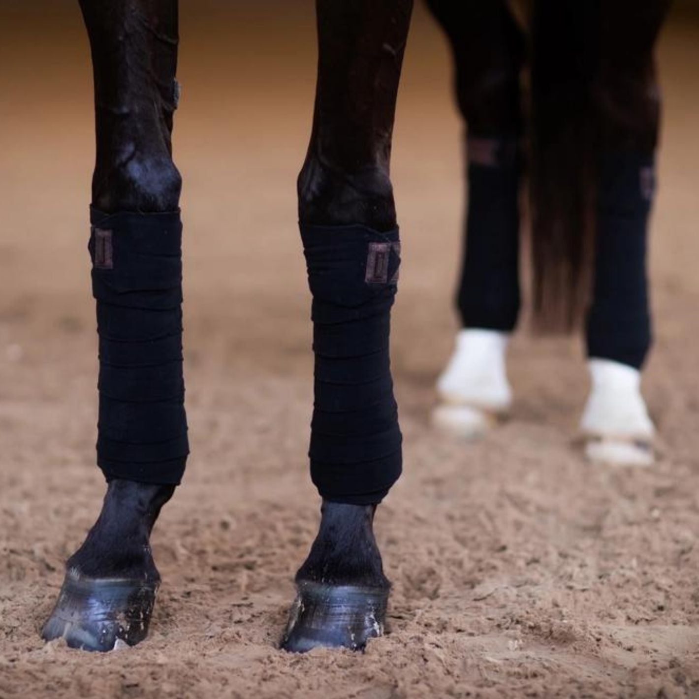 Equestrian Stockholm Bandages - Mahogany Glimmer
