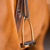 Sprenger Fillis Stirrups - Gold