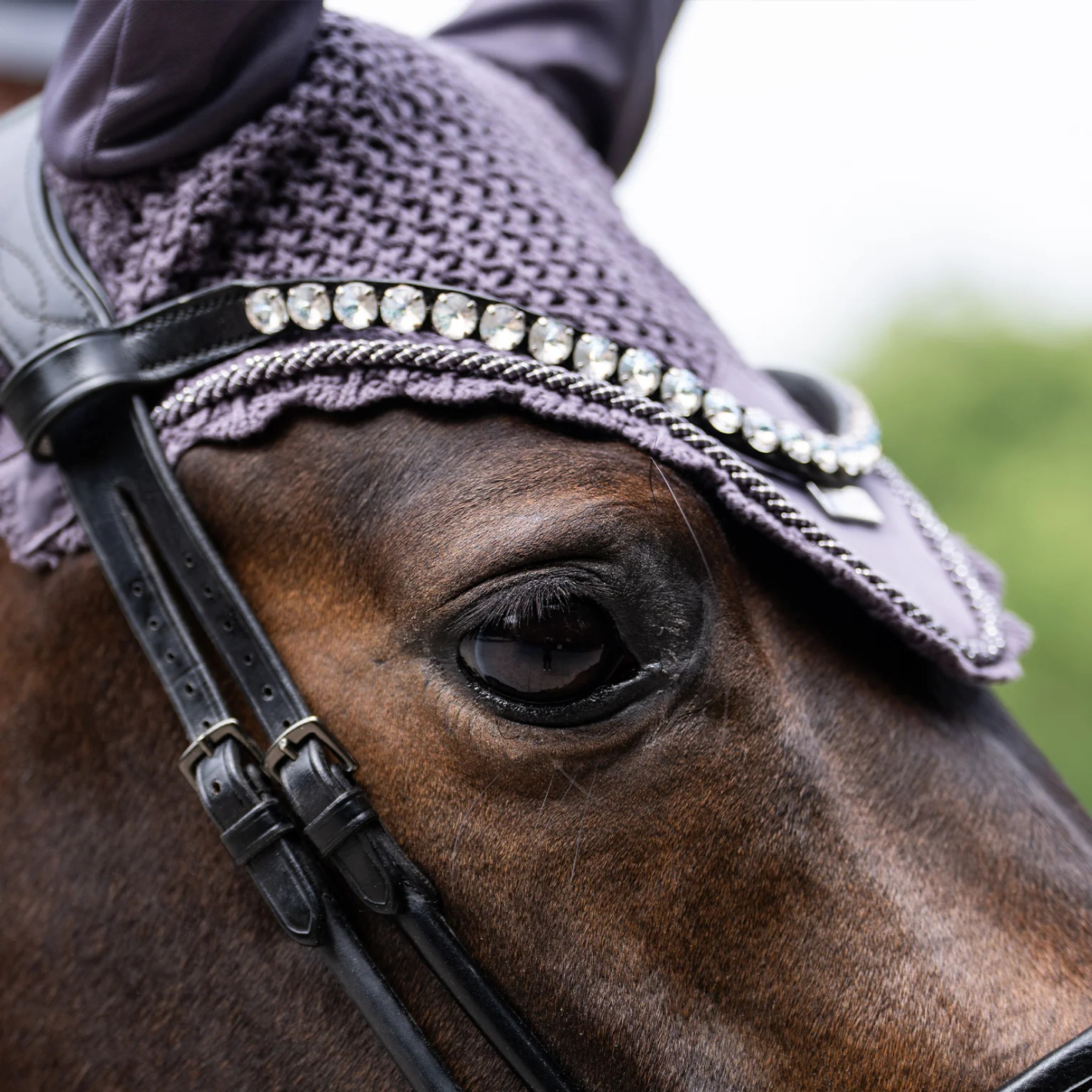 Equestrian Stockholm Ear Bonnet - Dark Violet