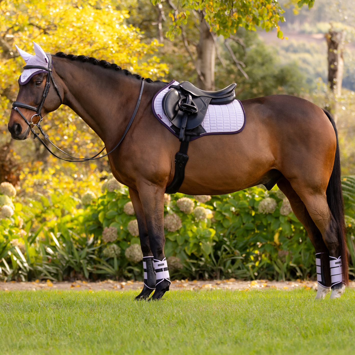 LeMieux Classic Ear Bonnet - Lilac