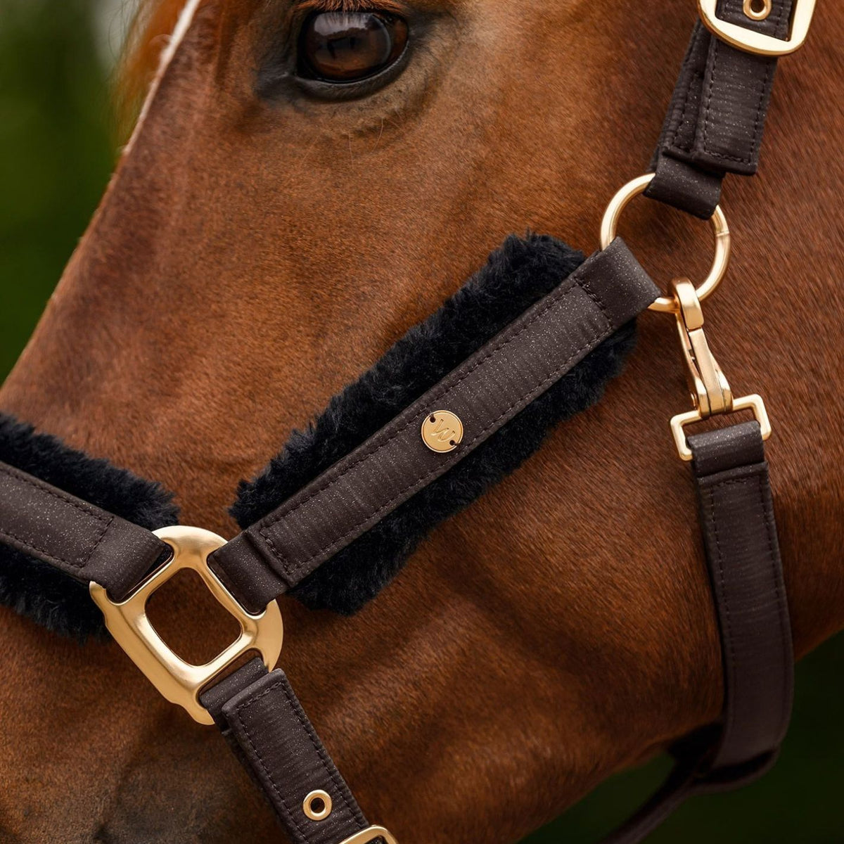 Waldhausen Phoenix Headcollar & Leadrope Set - Espresso