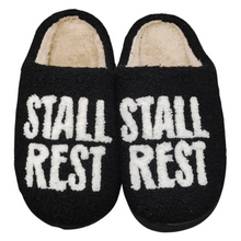 Load image into Gallery viewer, Dreamers &amp; Schemers - Stall Rest Slippers
