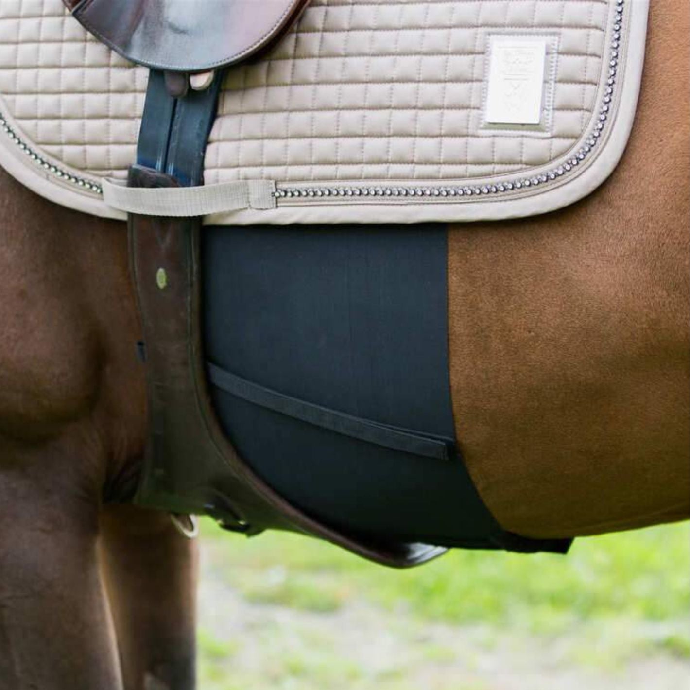 Zandona Belly Guard