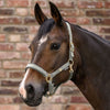 Waldhausen Headcollar & Leadrope Set - Sage